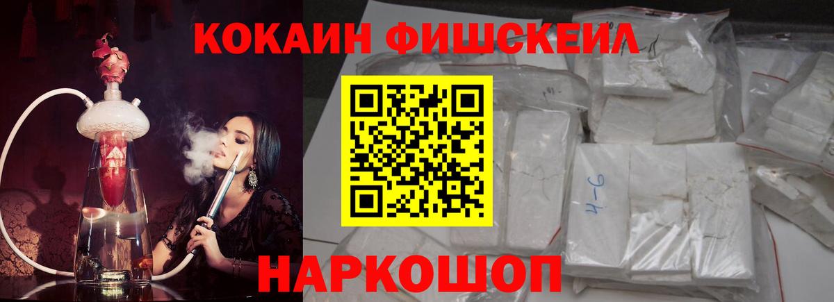 дарнет шоп  COCAIN Fish Scale  Вход с VPN  Чехов  Кокаин 