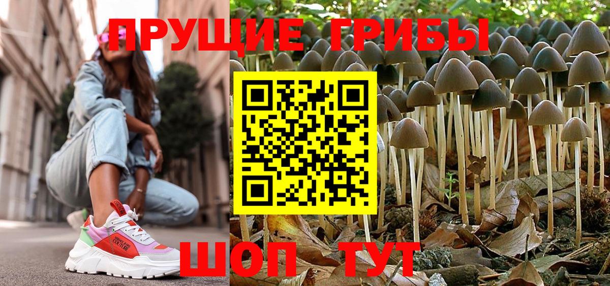 Галлюциногенные грибы Psilocybe  Вход с VPN  Чехов  Псилоцибиновые грибы Psilocybe 